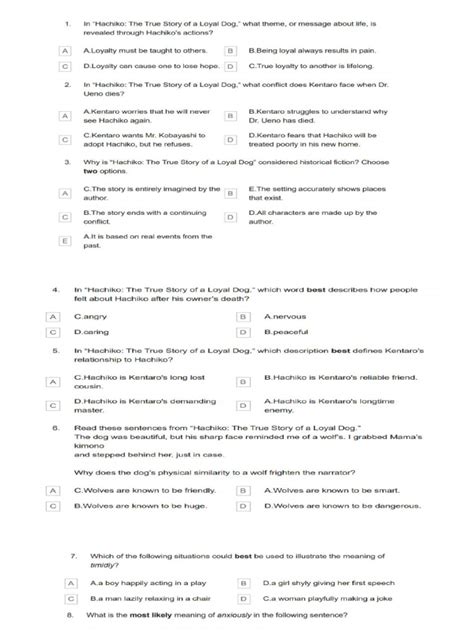 lucille strat document pdf
